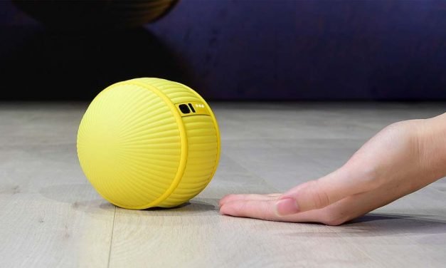 Inovacija: Bali je mali kućni robot!